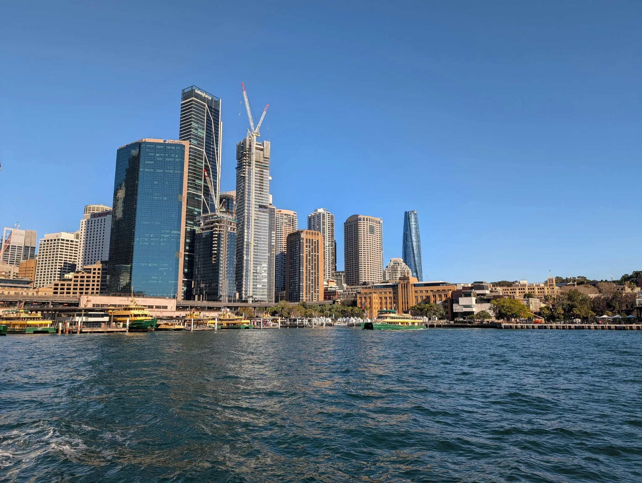 Sydney SEO Services: What Local Businesses Must Know